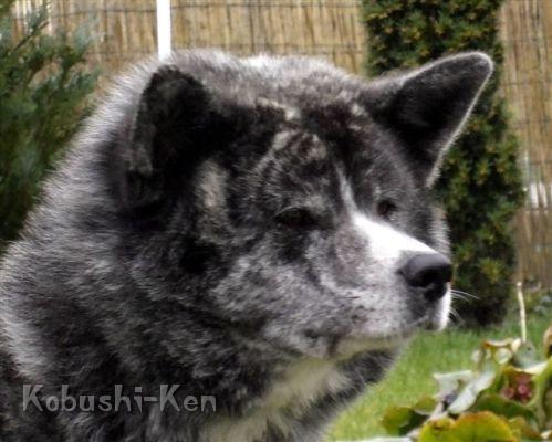 6Maerz 2008.JPG - März 2008